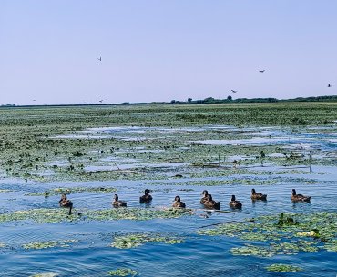 Delta Dunării: La Gura Portiței pentru o zi de plajă